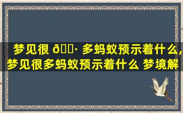 梦见很 🕷 多蚂蚁预示着什么,梦见很多蚂蚁预示着什么 梦境解析